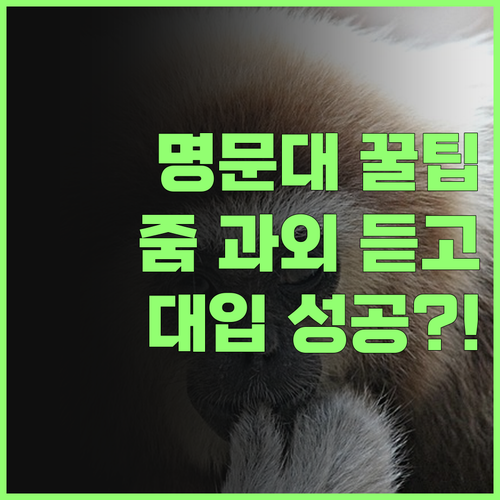 명문대 언니의 꿀팁 대방출! 줌 사회 과외 듣고 대입 성공하자.. 어때?