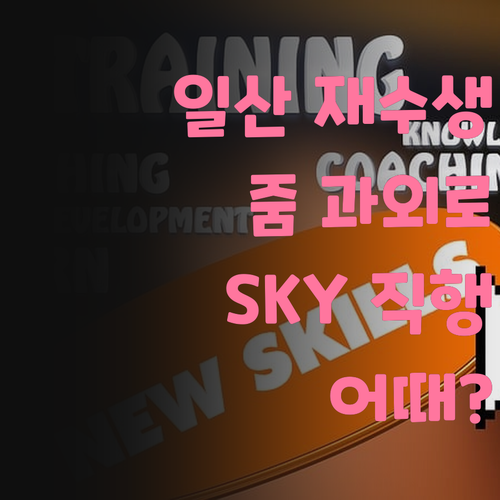 일산 재수생 필독! 줌 과외로 SKY 가는 지름길, 어때?