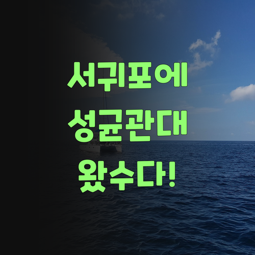 서귀포서 성균관대 선생님덜이 맴 써준다니, 억수로 좋겄네..