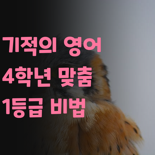 초등 4학년 영어, 7등급에서 1등급 멘토의 특별한 코칭! 🤩