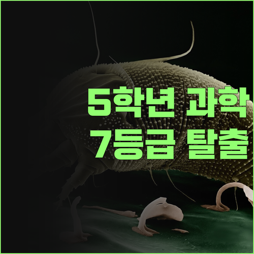 5학년 과학, 1:1 멘토링으로 꽉 잡아보자! 7등급 탈출 비법 대방출..!
