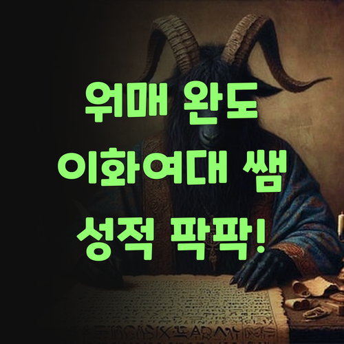 워매, 완도서 이화여대 쌤 과외? 성적 팍 오르는 비법!..
