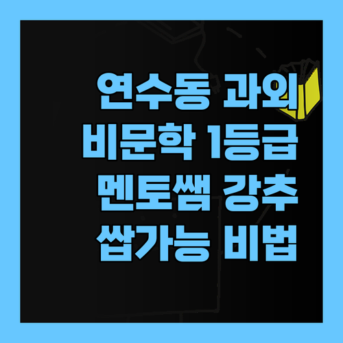 인천 연수동 비문학 과외?! 멘토쌤 믿고 1등급 쌉가능!
