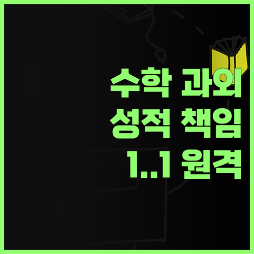 1:1 원격 과외, 우리 아이 수학 성적 책임져 드립니다! (진지)