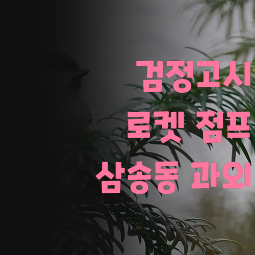 검정고시, 꿈을 향한 점프! 삼송동 온라인 과외로 로켓 점프🚀 시켜줄게!