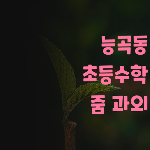 고양 능곡동 초등 전문! 줌 수학 과외로 미래 인재 키우기