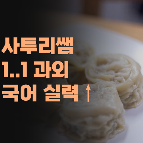 사투리 쌤의 1:1 화상 과외! 꼼꼼한 맞춤 지도로 국어 실력 확실히 올려준다!