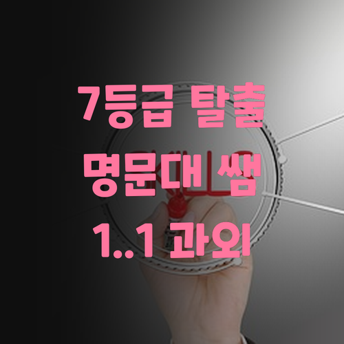 사회 7등급 탈출기! 명문대 쌤의 1:1 온라인 과외