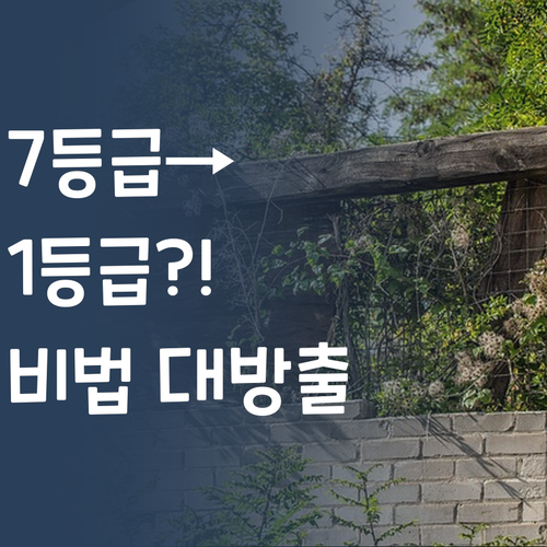 얘들아, 영어 7등급 언니가 1등급 비법 알려줄게! 😉