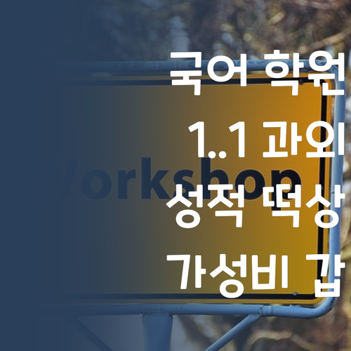 비싼 국어 학원 왜 다녀? 1:1 과외로 가성비 갑, 성적 떡상각!