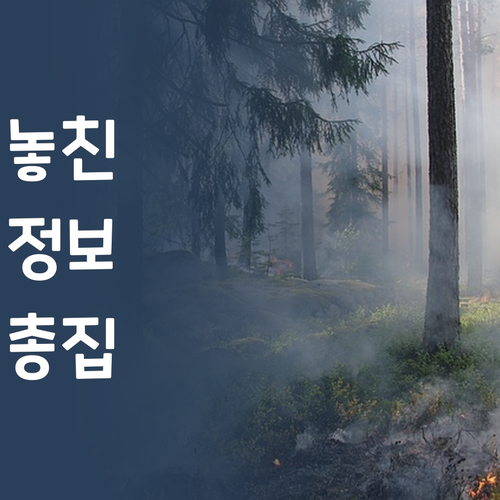 고등 과학 이제 '질'로 승부한다 퍼스널멘토 1:1 과외로 등급 UP