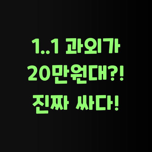 1:1 온라인 과외가 20만원대?! 퍼스널멘토 진짜 싸다니께..