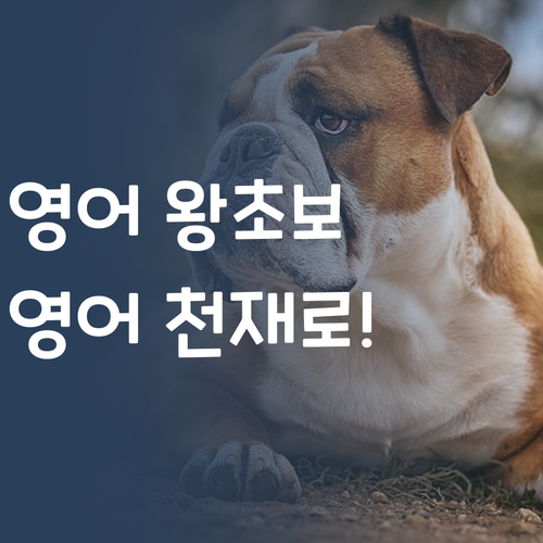 영어 노베이스도 괜찮아! 초등 1:1 과외로 영어 천재 만들기!