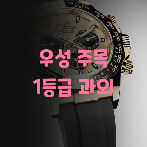 한강우성아파트 학생 주목 7등급쌤의 사회 1등급 과외 오픈!