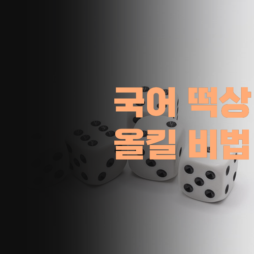 고등 국어 성적 떡상! 퍼스널멘토 1:1 과외, 내신 수능 올킬 비법 공개!