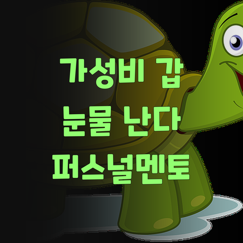 가성비 갑! 퍼스널멘토 땜시 눈물 난다 울어..