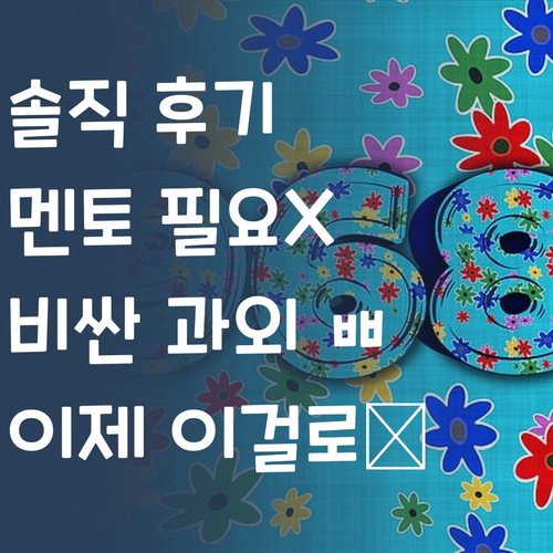 솔직후기! 퍼스널멘토, 비싼 과외는 이제 ㅃㅇ~!