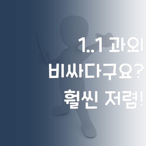 1:1 과외, 비싸다구요? 퍼스널멘토는 훠~얼씬 저렴하다는 사실!