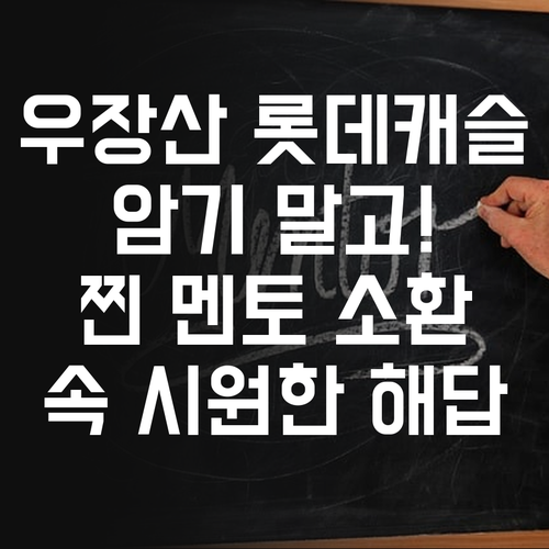 우장산 롯데캐슬, 사회는 암기가 답이 아냐! 멘토 소환!