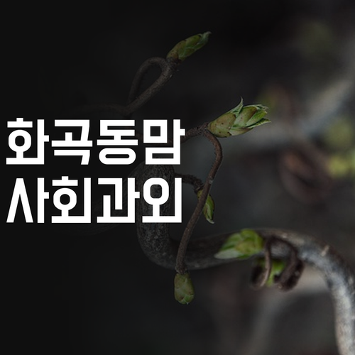 화곡동 맘 주목! 초등 사회 성적, 1:1 과외로 올릴 기회😘