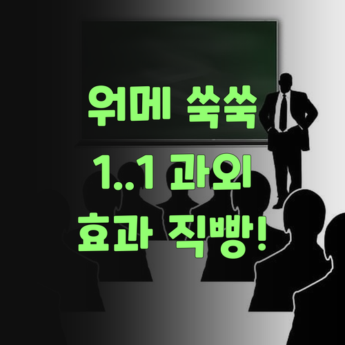 워메, 성적 쑥쑥! 퍼스널멘토 1:1 맞춤 과외, 효과 직빵이구먼이라..