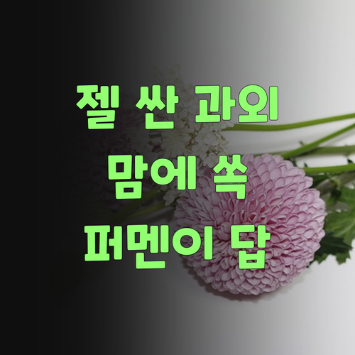 젤 싸고 맘에 쏙 드는 과학 과외? 퍼스널멘토가 답이여!