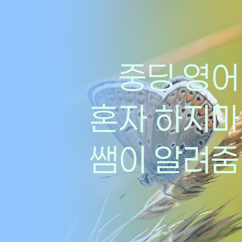 중딩 영어, 혼자 끙끙 앓지 마! 멘토 쌤이 해결해 줄게.. 😎