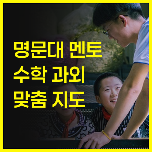 명문대 멘토가 책임지는 염창한강동아(2차) 맞춤 수학 과외!