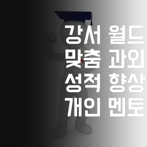 강서월드메르디앙 사회 과외, 너만을 위한 맞춤 멘토링!