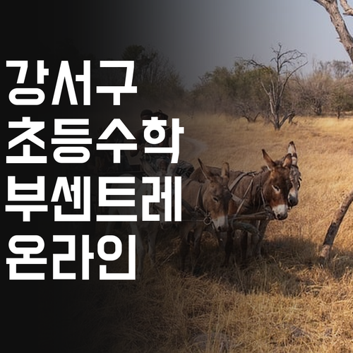 강서구 초등 온라인 수학, 부센트레빌 학생들 모여라!