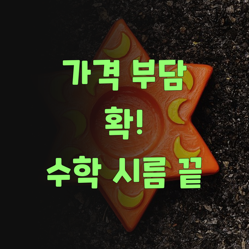 가격 부담 싹! 퍼스널멘토 덕에 손주 수학 시름 놨어야..