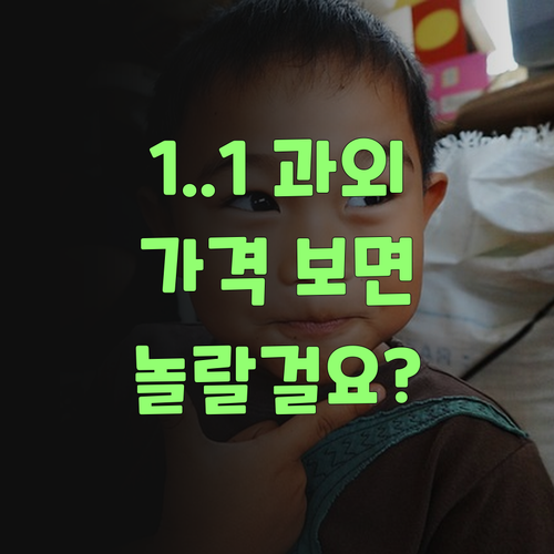 똑똑한 1:1 과외, 퍼스널멘토 가격 보면 놀랄거요..