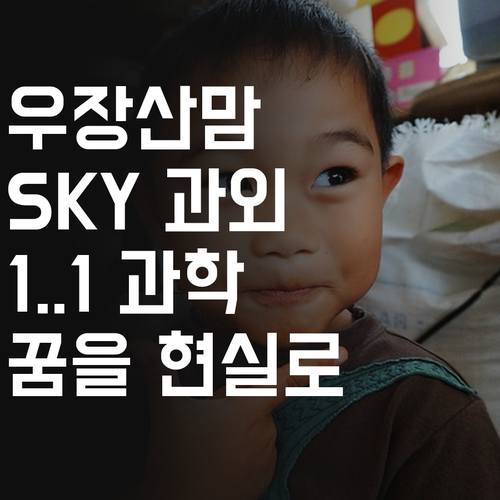 우장산 꿈에그린맘 주목! 1:1 온라인 과학 과외로 SKY 가는 지름길!