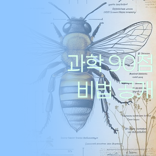 애미야 과학이 90점이다! 😎 1:1 멘토링 비법 대공개!