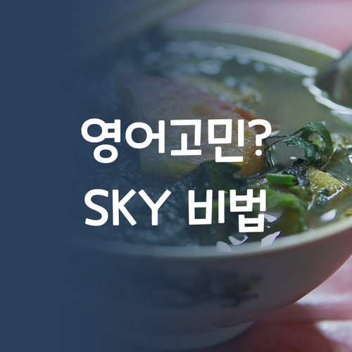 영어 때문에 고민? 30대 멘토가 SKY 비법 알려줄게!