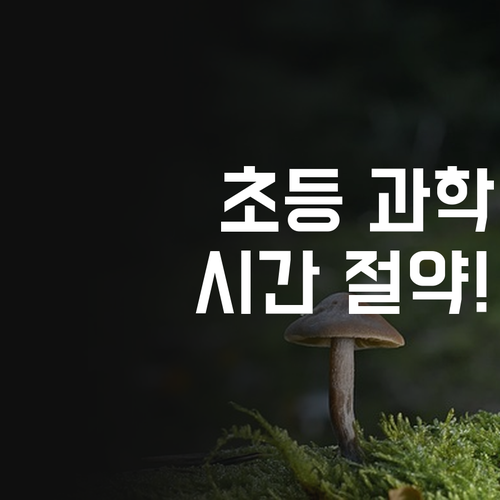 시간, 돈 아껴서 SKY 가즈아! 초등 온라인 과학 과외의 힘 💪