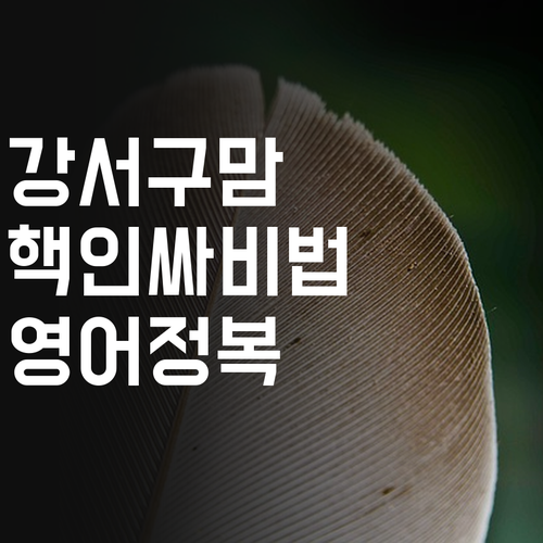 강서구맘 필독! 등촌주공 핵인싸 영어 과외 비법 공개! 1:1 온라인으로 영어 정복?!