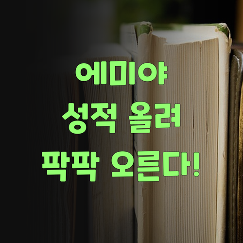 에미야, 퍼스널멘토로 바꿔라! 고등 사회 성적 팍팍 오른당께..