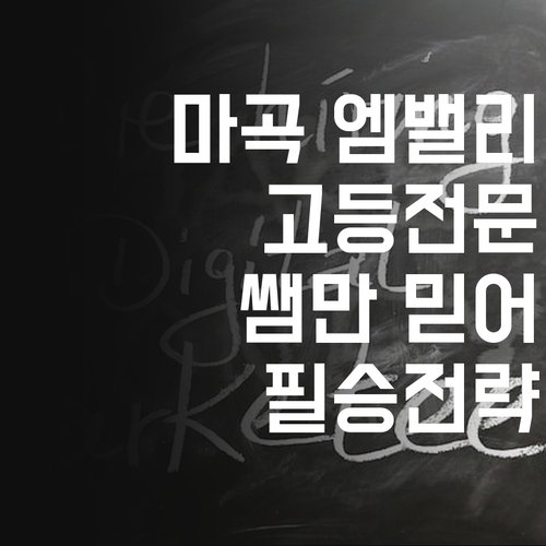 마곡동 엠밸리 고등학생 필승 전략 퍼스널멘토 쌤만 믿어봐 😜