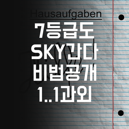 영어 7등급? 괜찮아! 등촌동 1:1 과외로 SKY 가는 법 알려줄게.. 😜