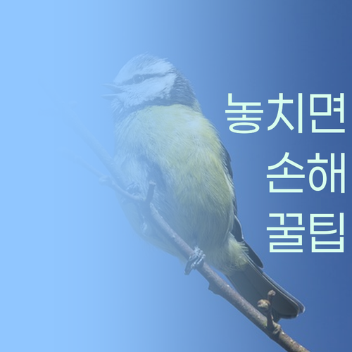 헉! 1:1 과외가 학원보다 싸다구? 퍼스널멘토 실화냐? 🤔