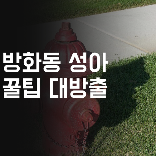 방화동성아파트 사회 멘토가 알려주는 공부 꿀팁 대방출