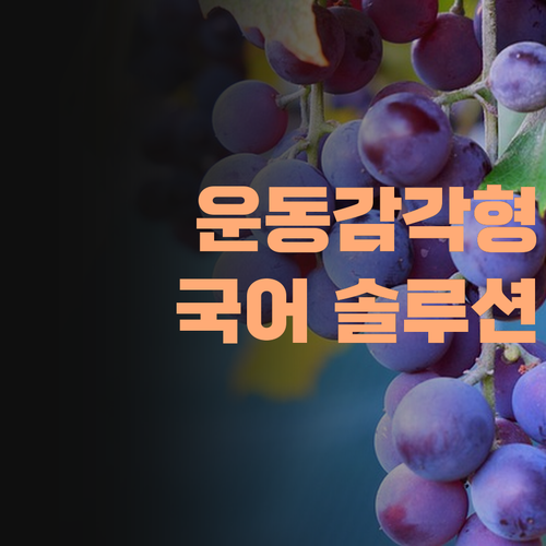 유명 입시 컨설턴트 출신 쌤이 알려주는 운동감각형 맞춤 국어, 퍼스널멘토!