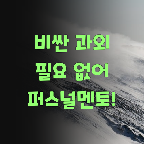 뭣이 중헌디? 비싼 과외 말고 퍼스널멘토로 싹 바꿔부러야..