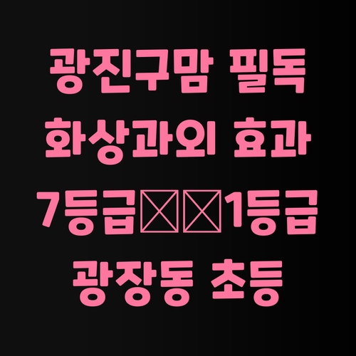 광진구 초등맘 필독 광장동 11 화상과외로 7등급 1등급 신화