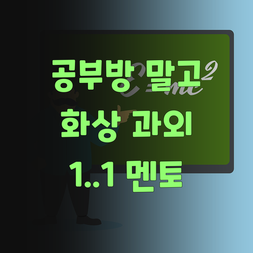 애들 공부방? 퍼스널멘토 1:1 화상 과외가 답이더라고..