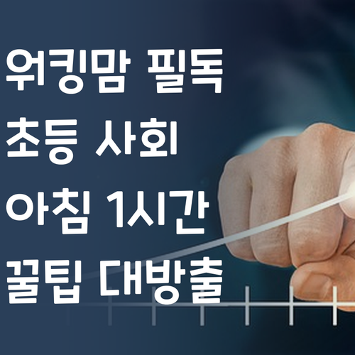 워킹맘 필독! 초등 사회, 아침 1시간에 끝내는 비법 꿀팁 😜