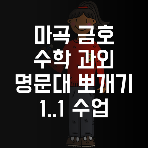 마곡 금호어울림 학생, 1:1 수학 과외 받고 명문대 뽀개기?!