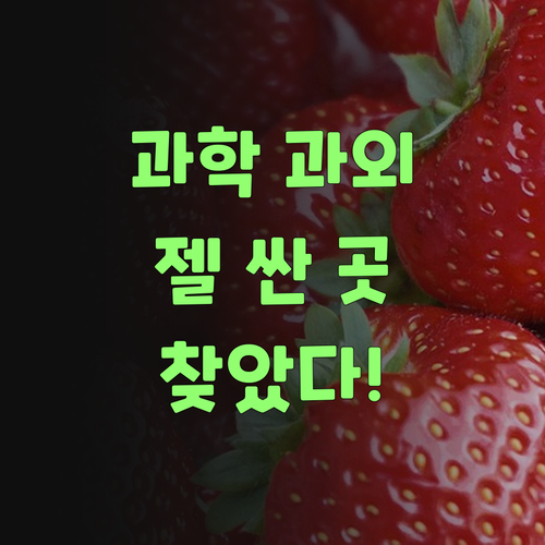 우리 애 과학, 젤 싼 과외 찾았소! 퍼스널멘토 완전 땡큐..