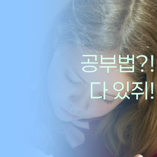 명문대 멘토의 사회 공부법? 퍼스널멘토에 다 있쥐! 캬캬 😂